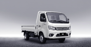 Truckmate I dl с бортовой платформой
