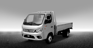 Truckmate II dl с бортовой платформой